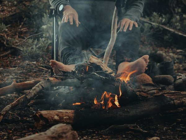 Échappées Arboricoles surplombant la Mer : Découvrez une Aventure Inoubliable !